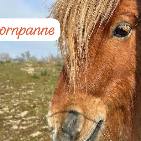 La Mascotte, Maison Familiale 3 Avec Parking Holiday home